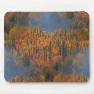 Tapis De Souris La beauté à l'automne....