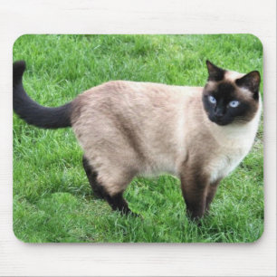 TAPIS DE SOURIS LA BEAUTÉ DE SIAMESE
