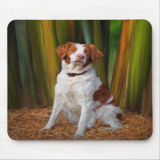 Tapis De Souris La belle Bretagne Mousepad
