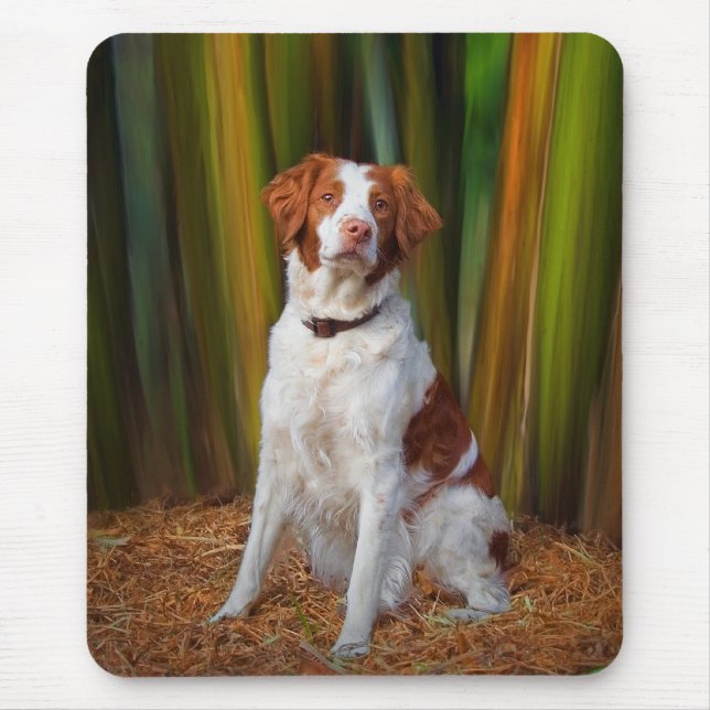 Tapis De Souris La belle Bretagne Mousepad (Devant)