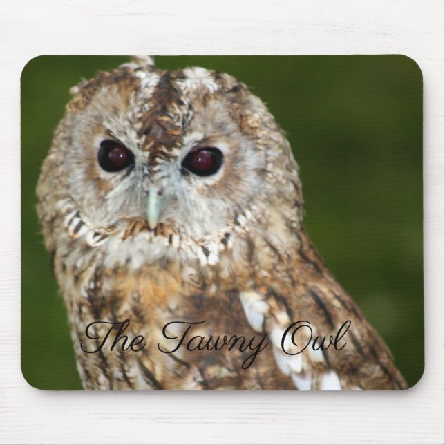 Tapis De Souris La Chouette Tawny (Devant)