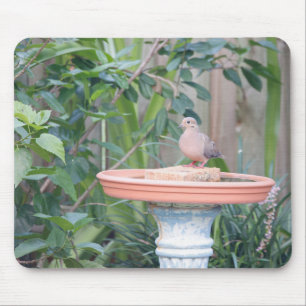 Tapis De Souris La colombe en deuil à Birdbath
