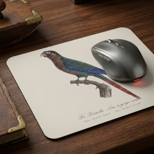 Tapis De Souris La conure emmaillotée, Pyrrhura Picta
