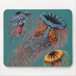 Tapis De Souris La disco Medusae d'Ernst Haeckel