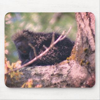 Tapis De Souris La faune de la Porcupine