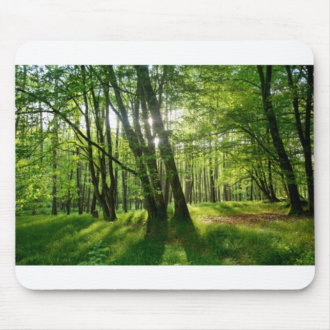 Tapis De Souris La forêt au printemps (Devant)