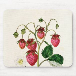 Tapis De Souris La fraise de Roseberry, gravée par Watte