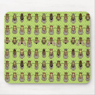 Tapis De Souris La génétique de mouche à fruit de drosophile -