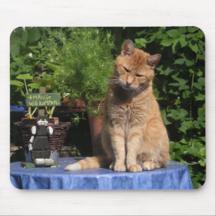 Tapis De Souris La gueule de bois, Chats, Animaux