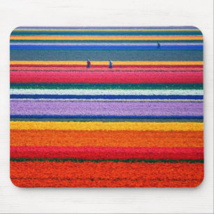 Tapis De Souris La Hollande, champs de tulipe