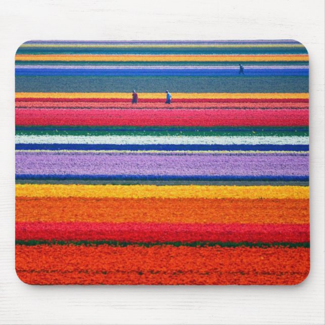 Tapis De Souris La Hollande, champs de tulipe (Devant)