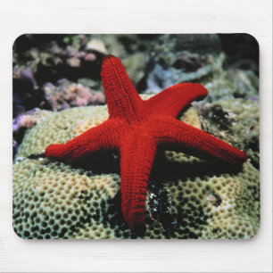 Tapis De Souris La Mer Rouge des poissons   d'étoile