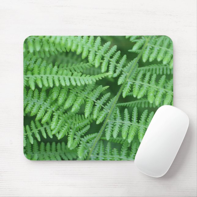 Tapis De Souris La nature des Fermes vertes (Avec souris)