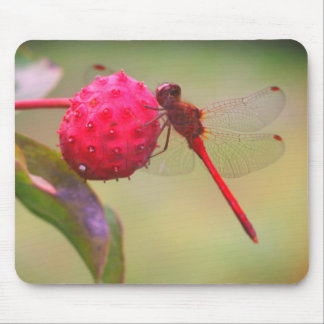 Tapis De Souris La nature des libellules rouges