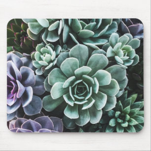 Tapis De Souris La nature Plante verte Succulente