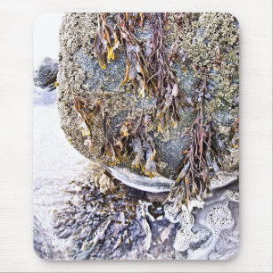 TAPIS DE SOURIS LA PLAGE