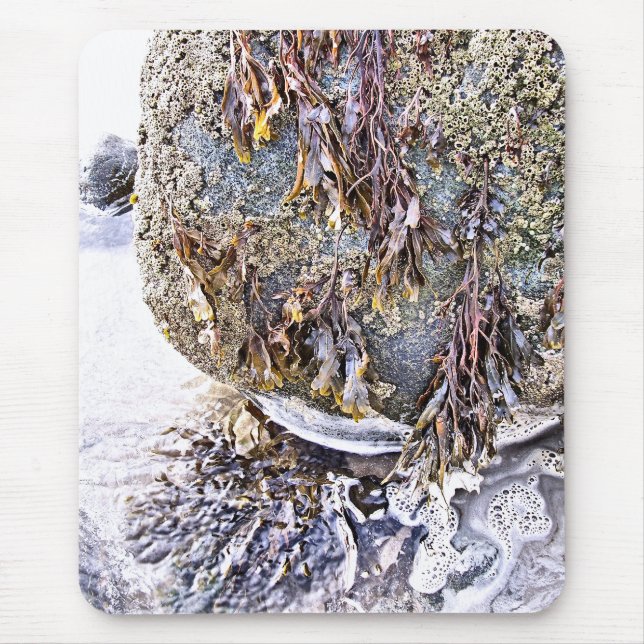 TAPIS DE SOURIS LA PLAGE (Devant)