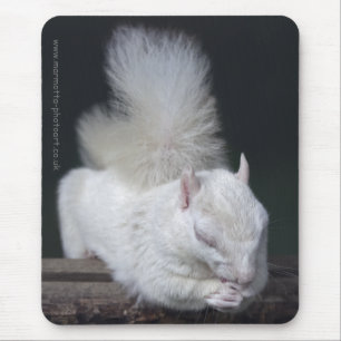 Tapis de souris La Prière de Nutty