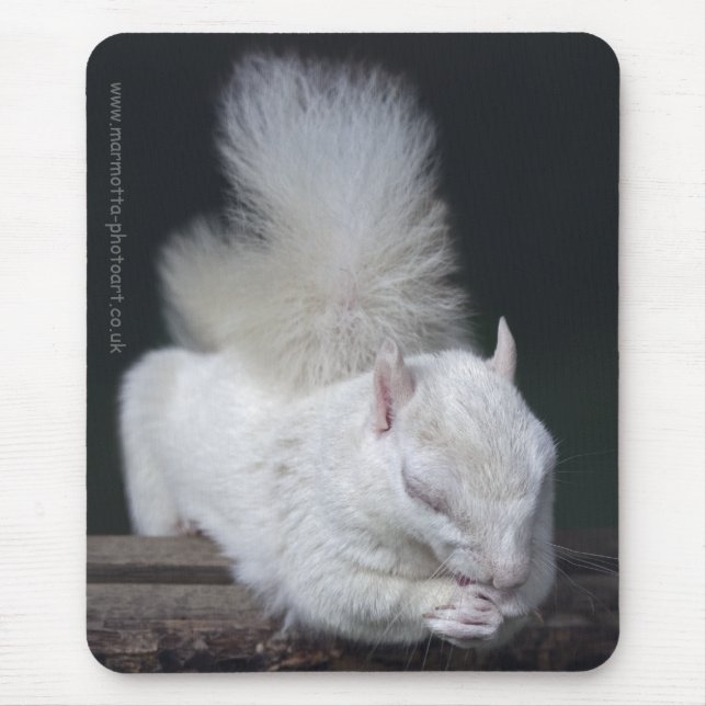 Tapis de souris La Prière de Nutty (Devant)