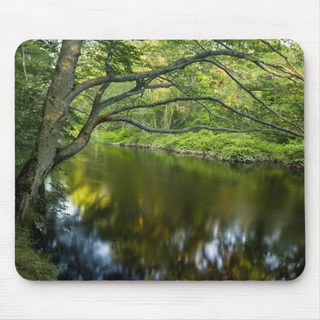 Tapis De Souris La rivière Taunton à Bridgewater, 2 (Devant)