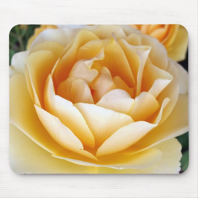 Tapis De Souris La rose jaune (Devant)