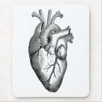 La Science d'anatomie de coeur