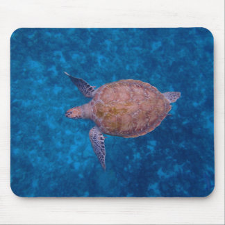 Tapis De Souris La tortue de mer de la Barbade