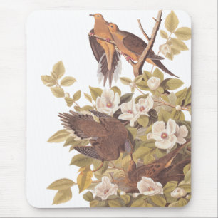Tapis De Souris La tourterelle de Caroline d'Audubon