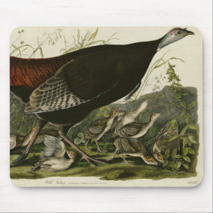 Tapis De Souris La Turquie sauvage des oiseaux d'Amérique d'Audubo