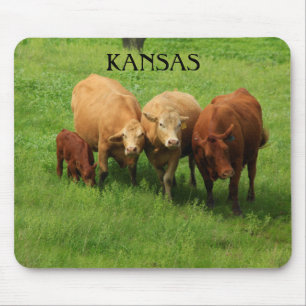 Tapis De Souris La vache du Kansas dans un pâturage vert