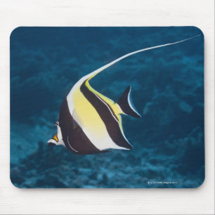 Tapis De Souris La vie sous-marine ; POISSONS : Un idole de