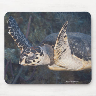 Tapis De Souris La vie sous-marine : Une tortue de mer de