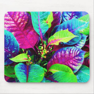 Tapis De Souris La violette colorée plante Mousepad