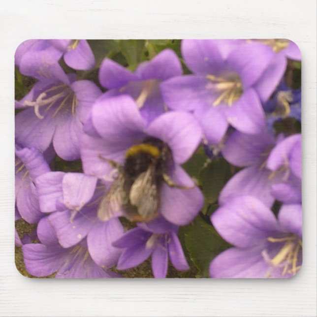 Tapis De Souris L'abeille sur le pourpre fleurit Mousepad (Devant)