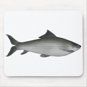 Tapis De Souris Labeo commun