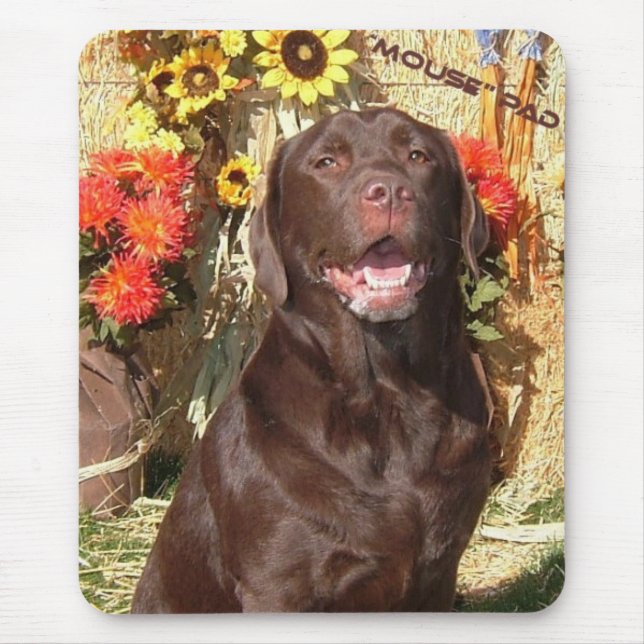 TAPIS DE SOURIS LABORATOIRE MOUSEPAD DE CHOCOLAT (Devant)