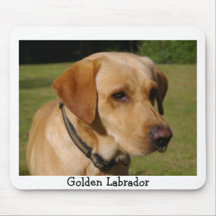 Tapis De Souris Labrador d'or