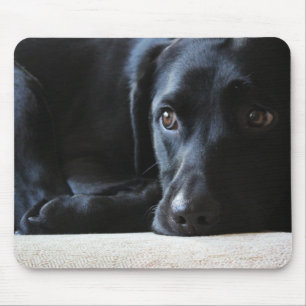 Tapis De Souris Labrador noir