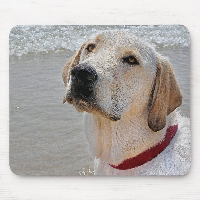 Tapis De Souris Labrador Retriever (Devant)