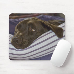 Tapis De Souris Labrador Retriever Dans Le Lit