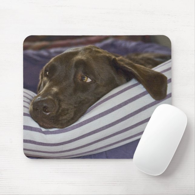 Tapis De Souris Labrador Retriever Dans Le Lit (Avec souris)