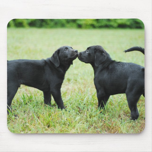 Tapis De Souris Labrador retriever noir (Devant)