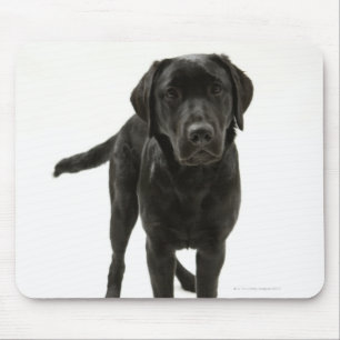 Tapis De Souris Labrador retriever noir