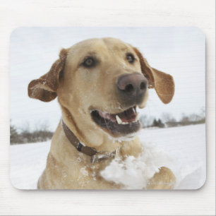 Tapis De Souris Labrador retriever sautant par la neige profonde