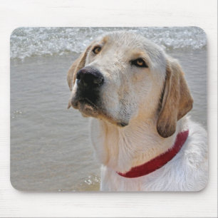 Tapis De Souris Labrador Retriever sur la plage