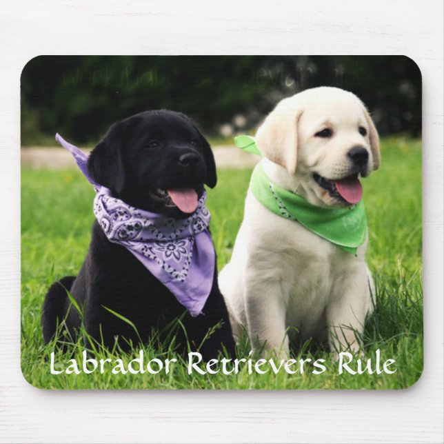 Tapis De Souris Labrador Retrivers Rule Puppies Mousepad (Devant)