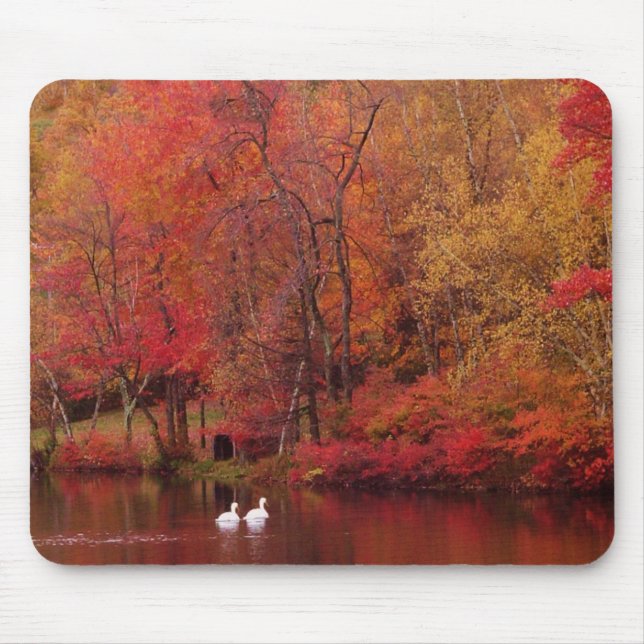 Tapis De Souris Lac autumn (Devant)