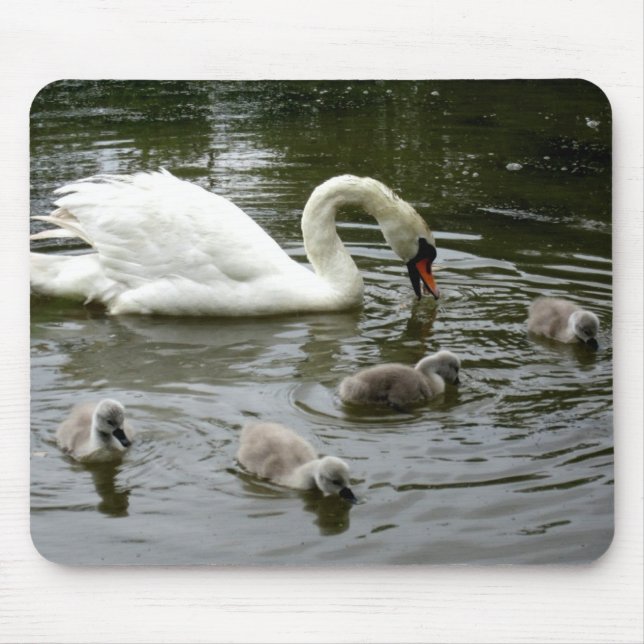 Tapis De Souris Lac des cygnes - Mousepad (Devant)