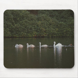 Tapis De Souris Lac des cygnes Mousepad