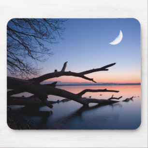 Tapis De Souris Lac Tree at Starnberg   Bavaria Germany